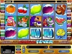 Play Cabin Fever Slots now!